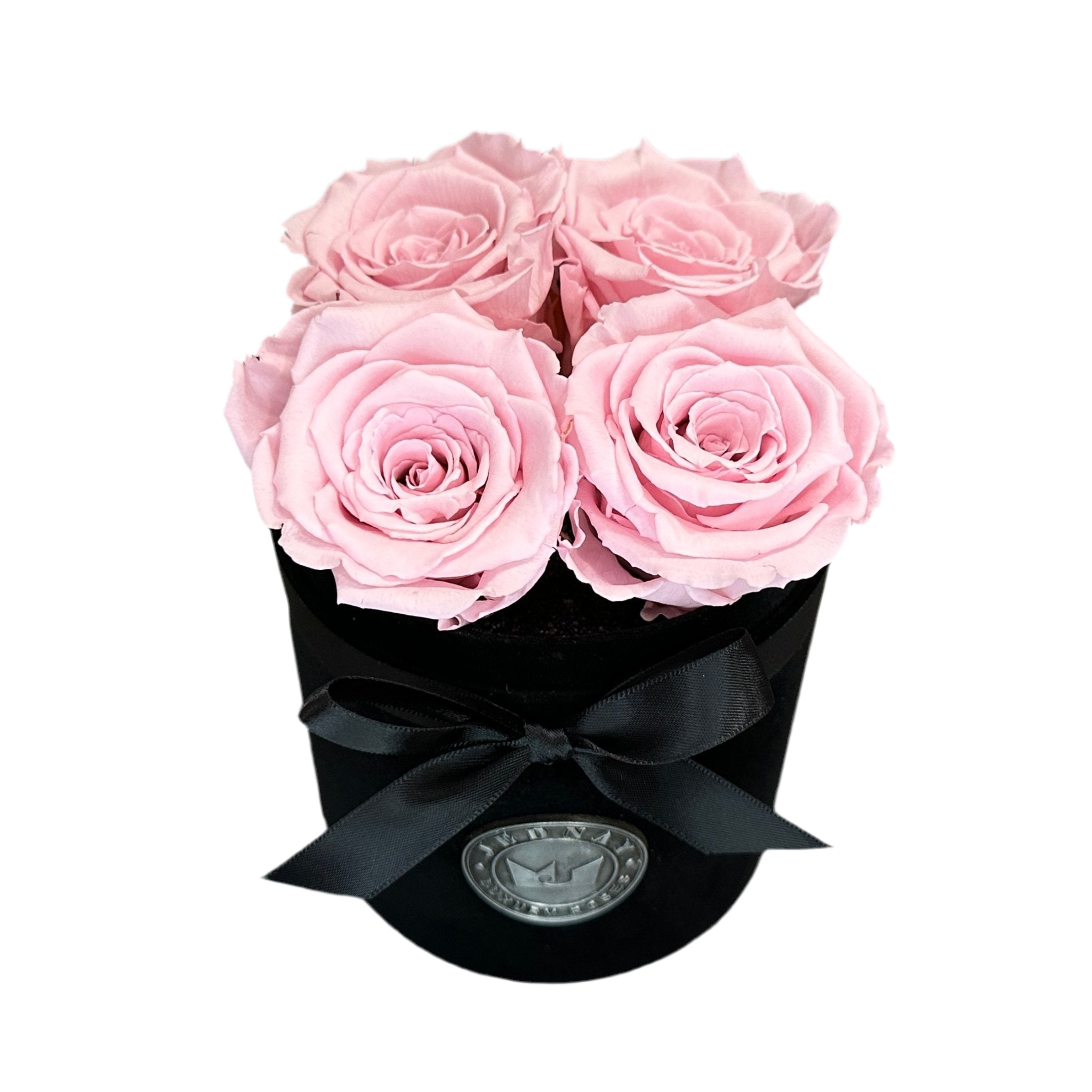 THE FOUR | SOFT PINK ETERNAL ROSES | BLACK SUEDE BOX