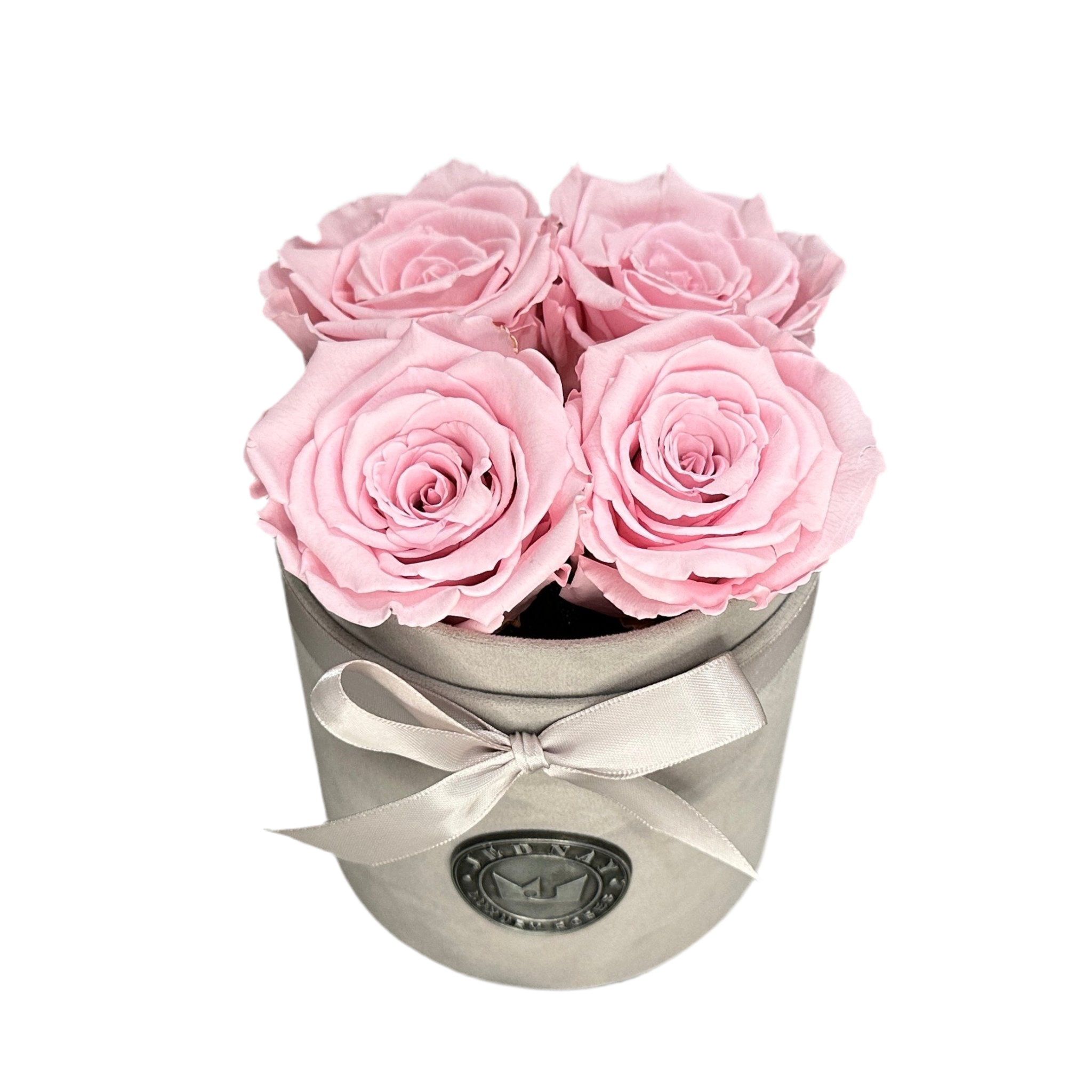 THE FOUR | SOFT PINK ETERNAL ROSES | GREY SUEDE BOX